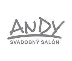 ANDYSALON
